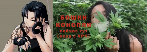 стафф Нягань