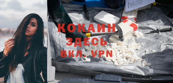 прущие грибы Осинники