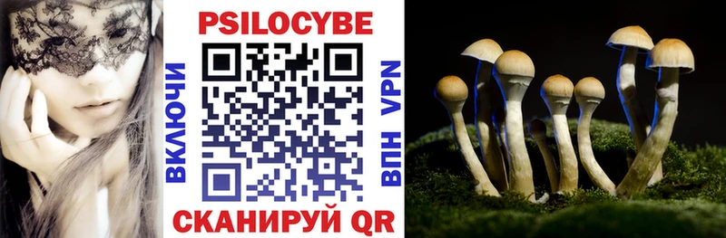 хочу   Надым  Псилоцибиновые грибы прущие грибы 