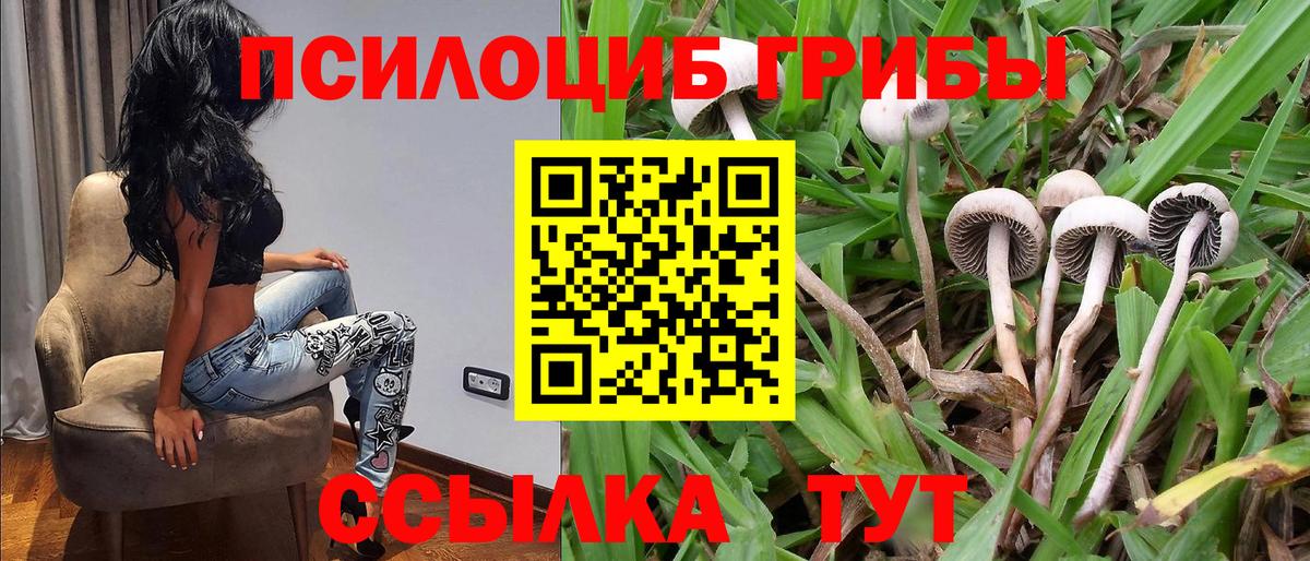 Надым  Галлюциногенные грибы мухоморы  Галлюциногенные грибы мухоморы  Вход с VPN 