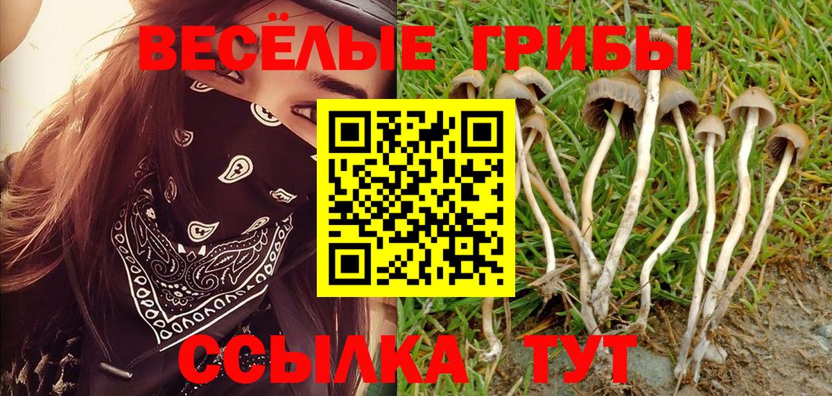 Галлюциногенные грибы мухоморы  Псилоцибиновые грибы Magic Shrooms  Надым 
